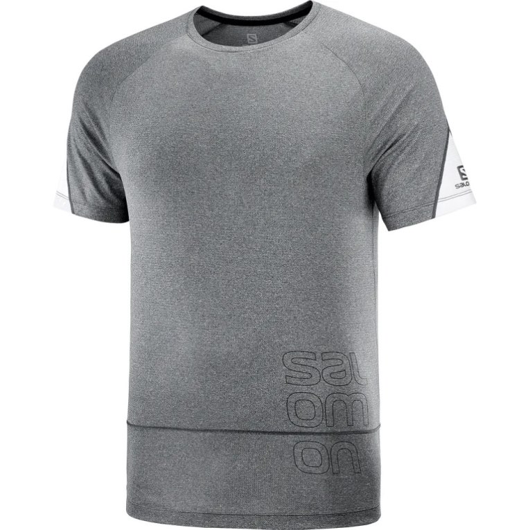 Salomon Cross Run Graphic Short Sleeve Men's T-Shirts Grey | CA 12X83
